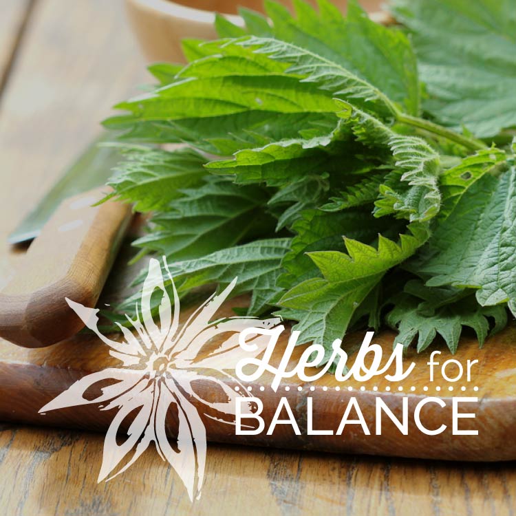 herbs for balance